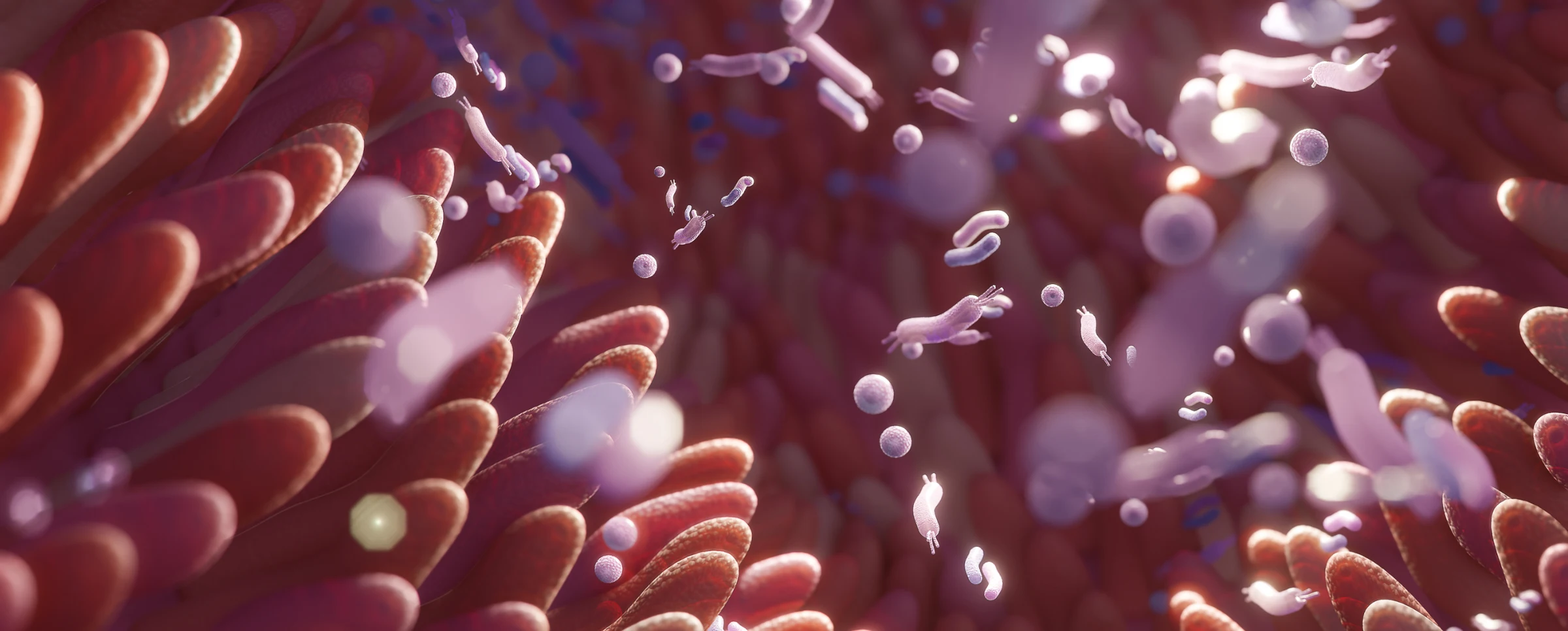 Nutrizione-Microbiota