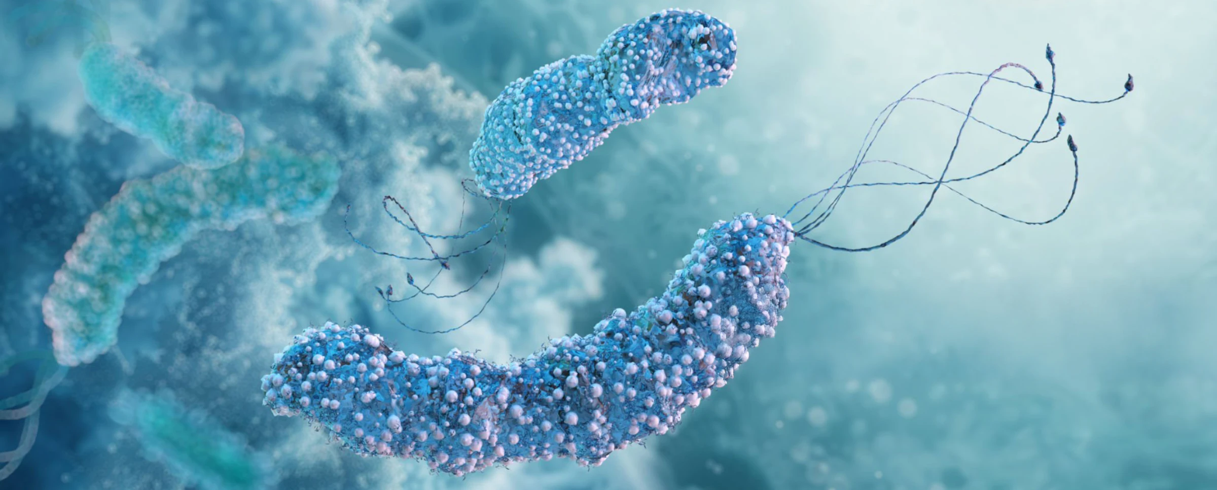 Nutrizione-test-helicobacter-pylori