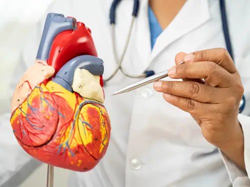 Cardiologia